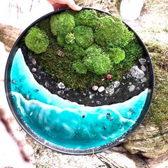 Стабілізований мох (Норвегія). Колір "Лісовий" темніший. Уп. 50 г